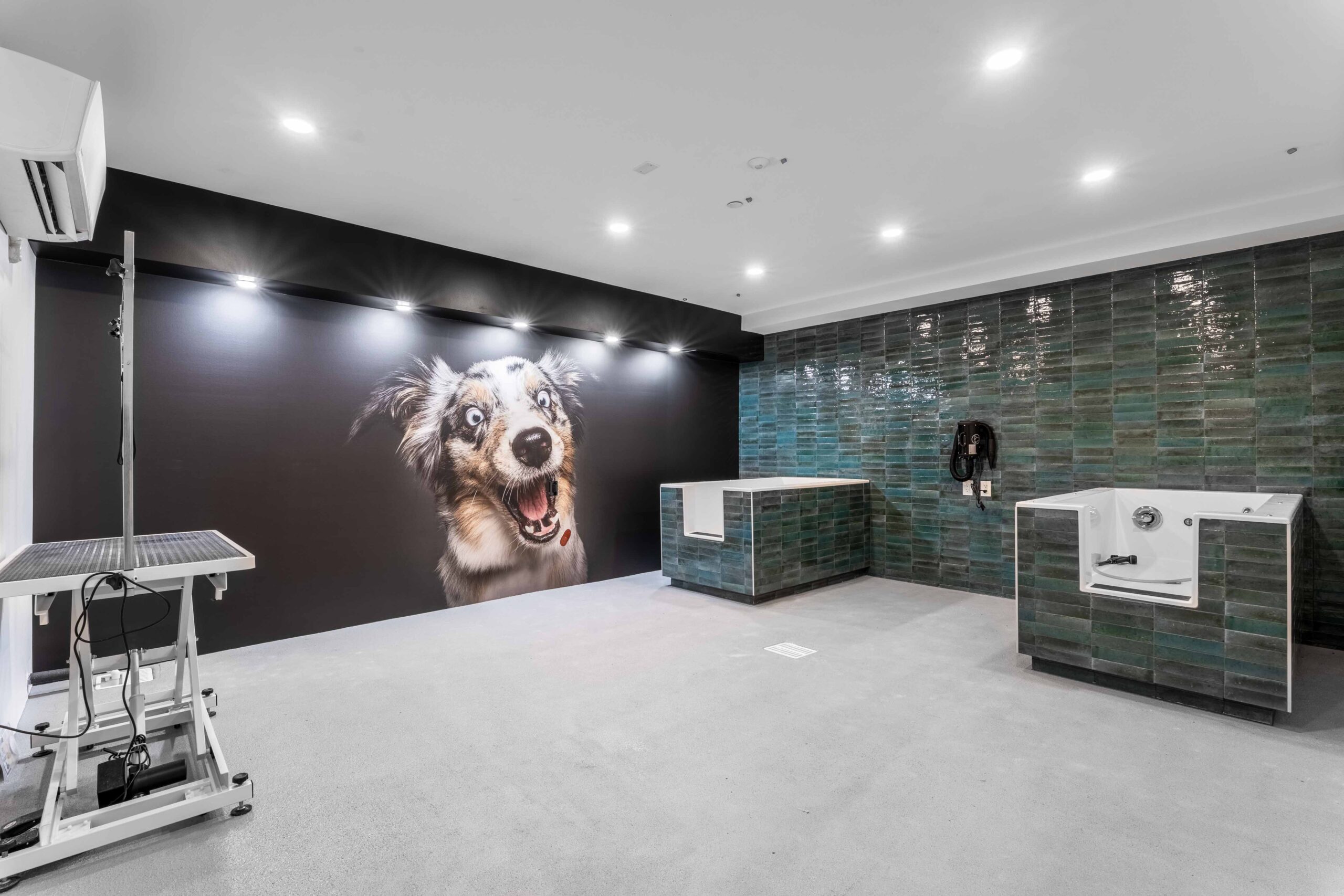 Dog grooming area with modern design
