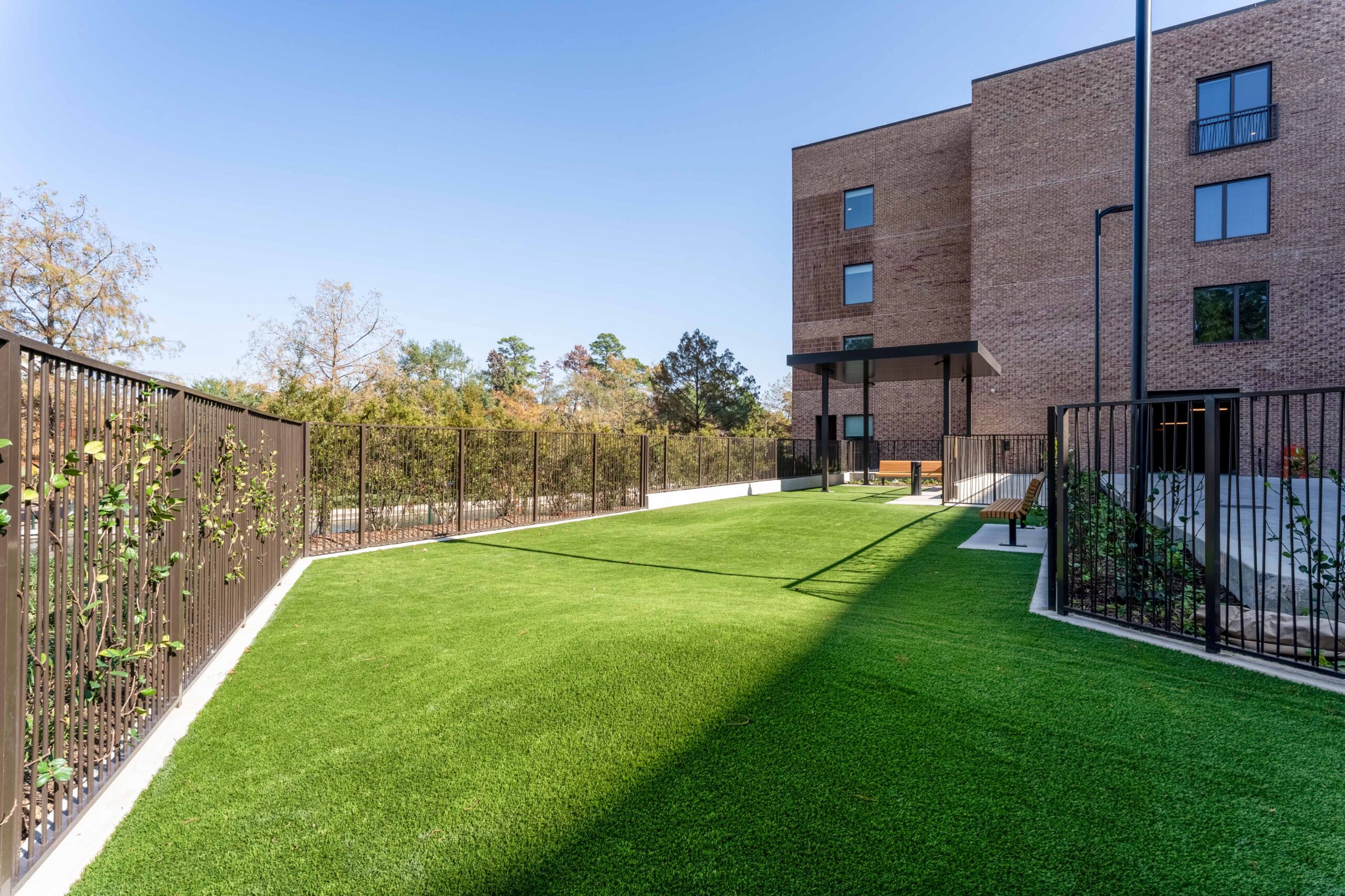 Green lawn with modern building backdrop