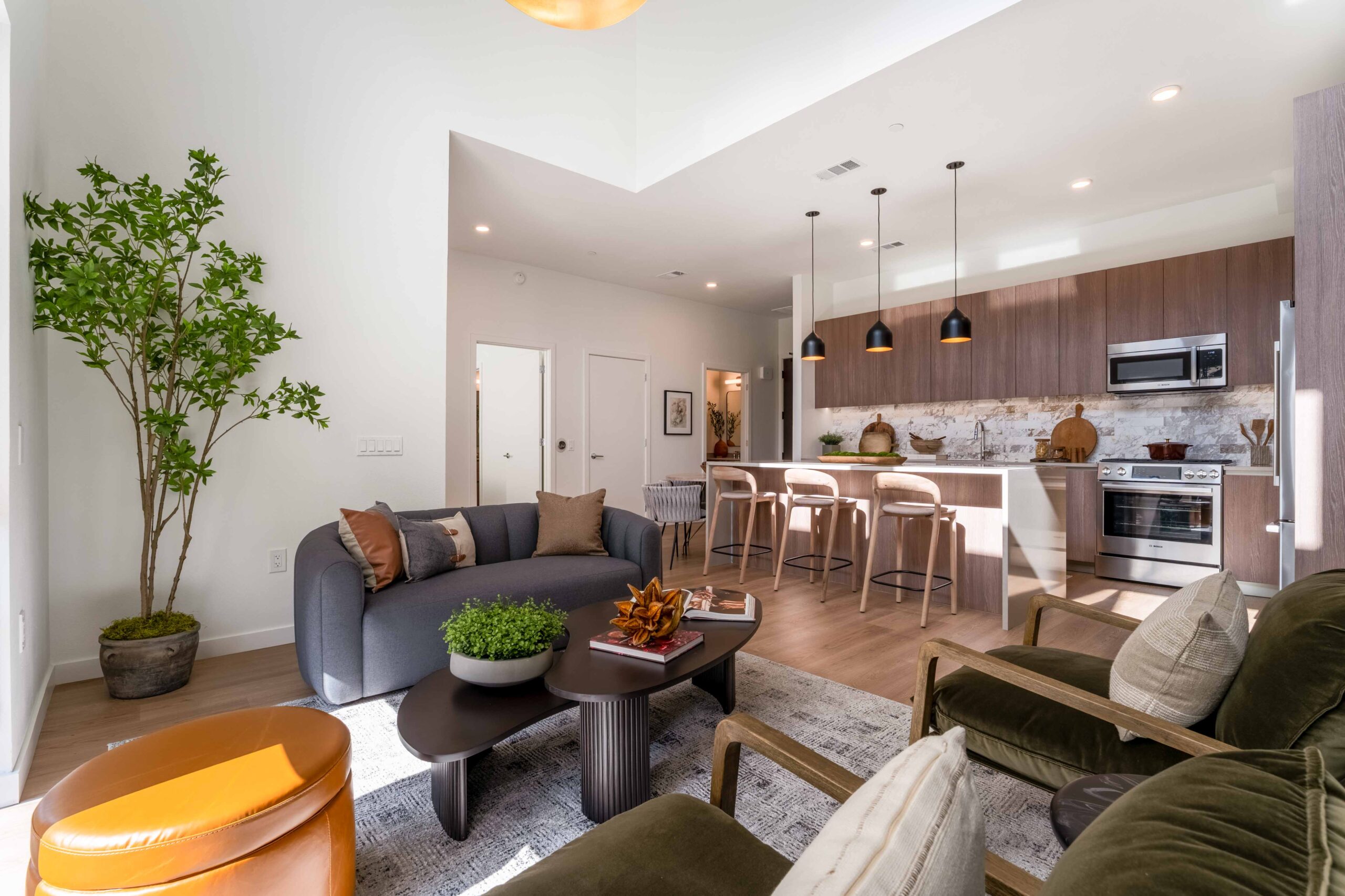 Modern living room with kitchen area