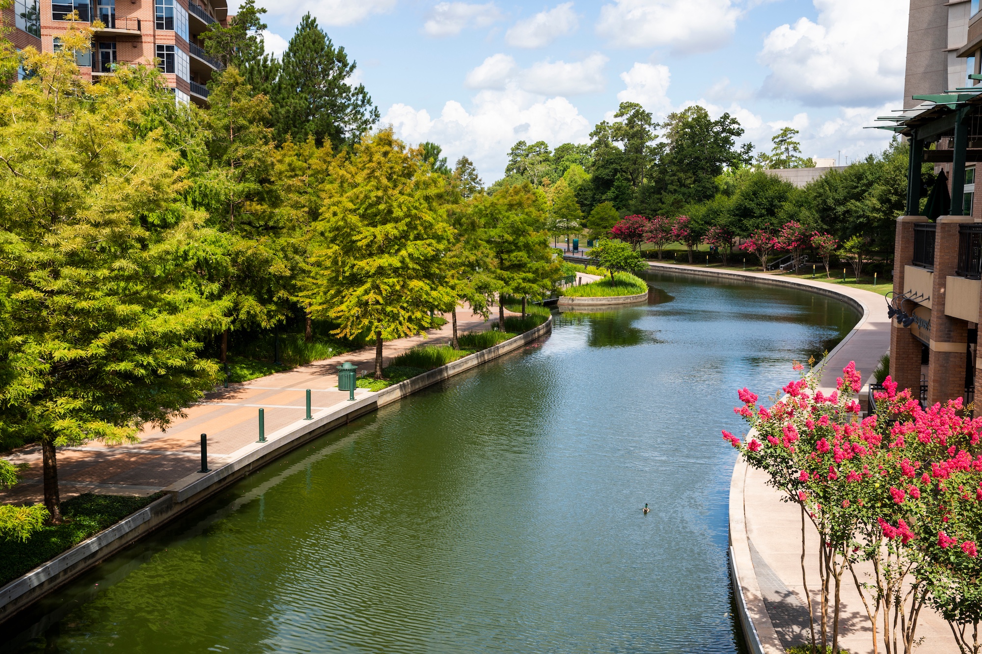 a river with trees and buildings